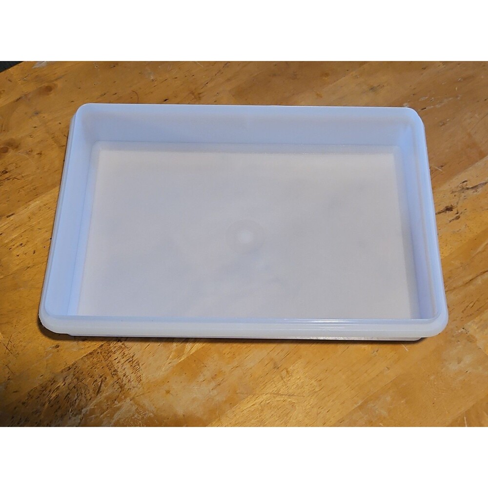 Vintage Tupperware Snack N Stor Store Large 9"X13" Container Only Sheer #290 EUC